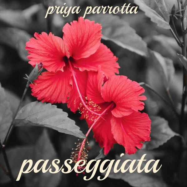 Cover art for Passeggiata